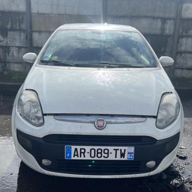 Porte avant droit FIAT PUNTO EVO 3 Photo n°10