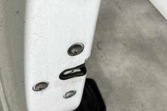 Porte avant gauche FIAT PUNTO EVO 3