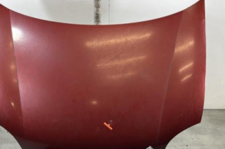 Capot RENAULT KANGOO 1 Photo n°1