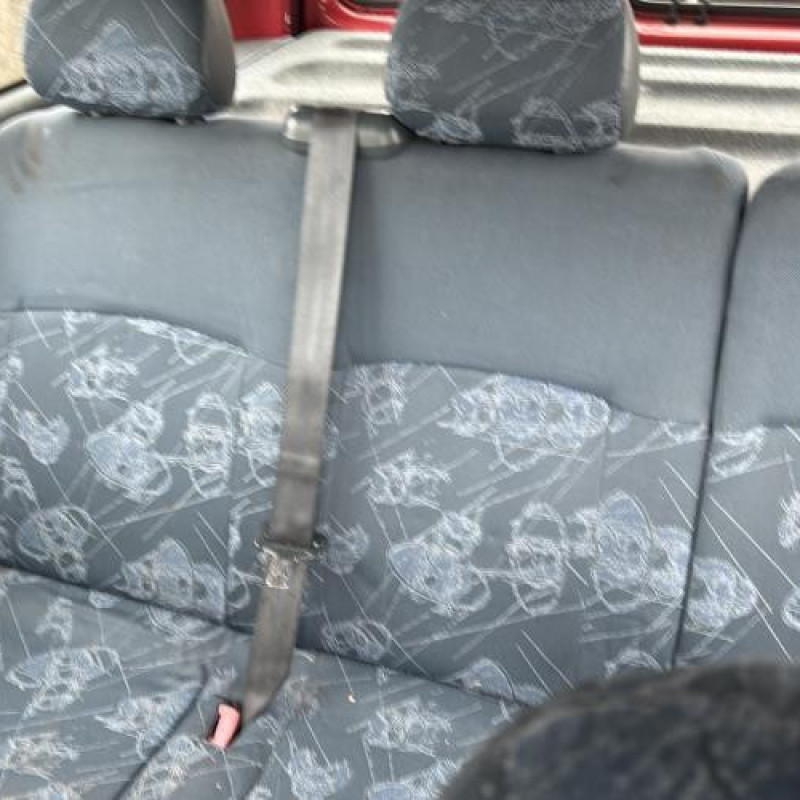 Porte avant gauche RENAULT KANGOO 1 Photo n°18