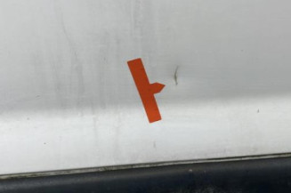 Porte avant gauche RENAULT KANGOO 1