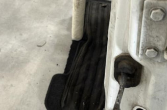 Porte avant gauche RENAULT KANGOO 1