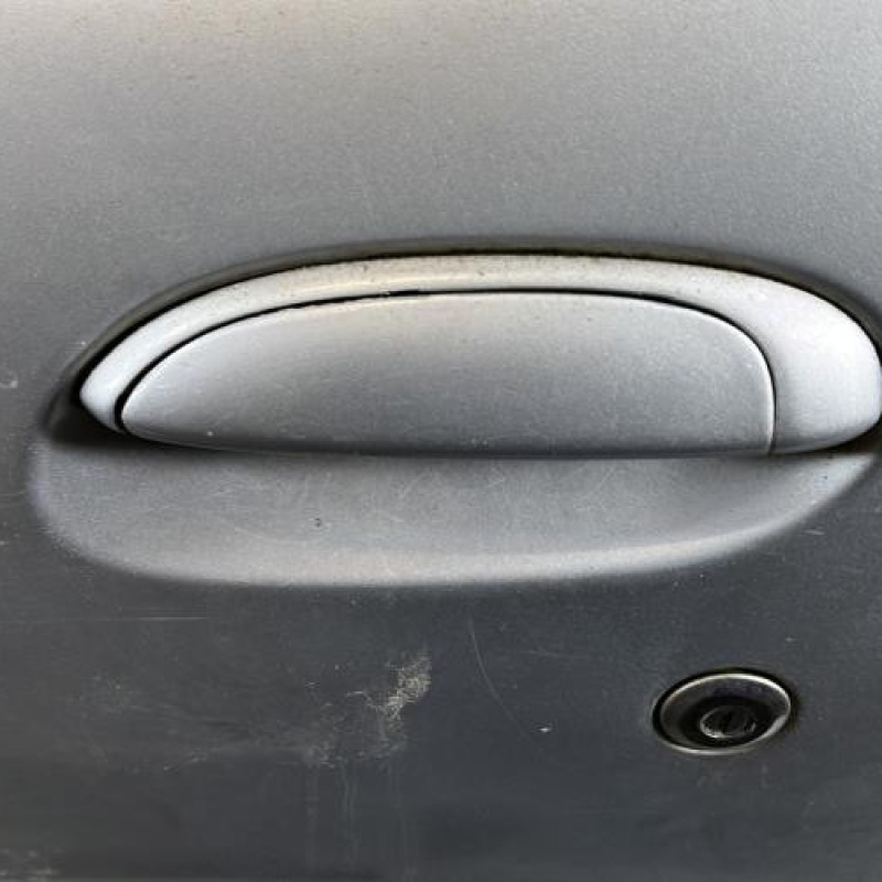 Porte avant gauche RENAULT CLIO 2 Photo n°2