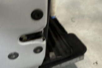 Porte avant gauche RENAULT CLIO 2