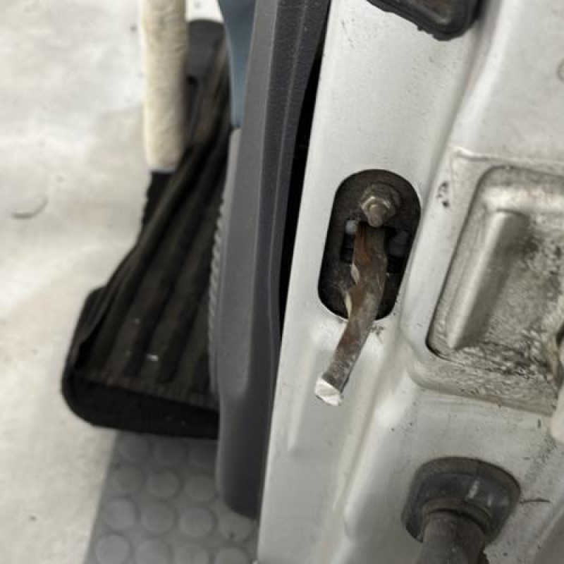 Porte avant gauche RENAULT CLIO 2 Photo n°4