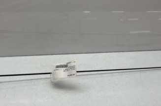 Antenne DACIA SANDERO 2 Photo n°1