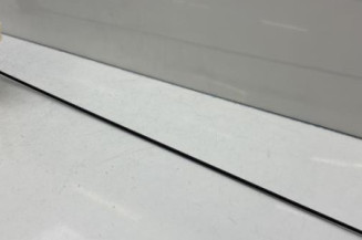 Antenne DACIA SANDERO 2