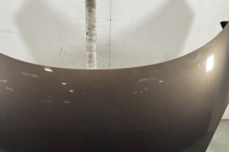 Capot RENAULT GRAND SCENIC 3 Photo n°1