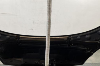 Capot RENAULT GRAND SCENIC 3