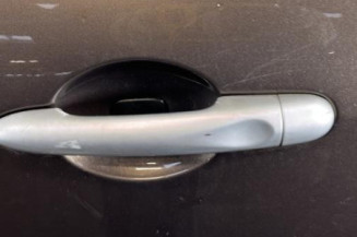 Porte arriere gauche RENAULT GRAND SCENIC 3