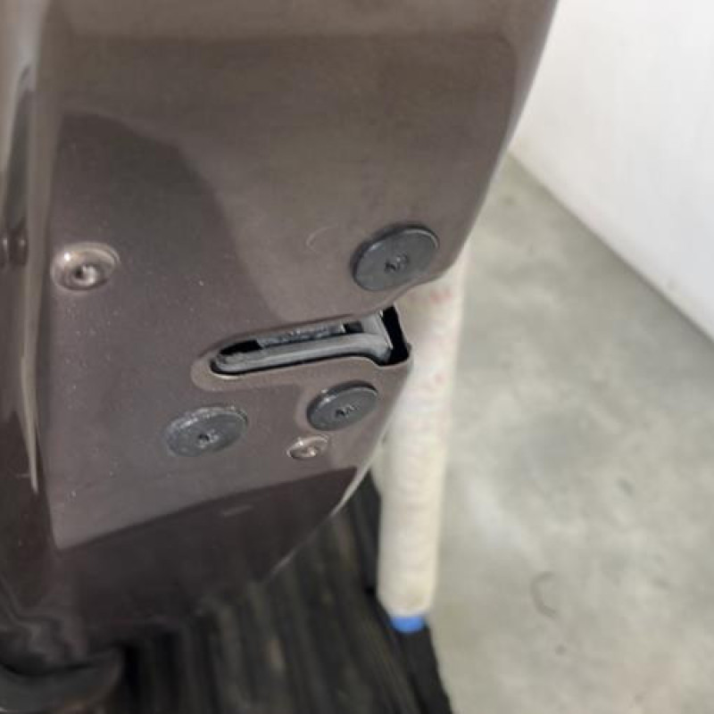 Porte arriere gauche RENAULT GRAND SCENIC 3 Photo n°3