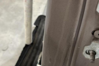 Porte arriere gauche RENAULT GRAND SCENIC 3