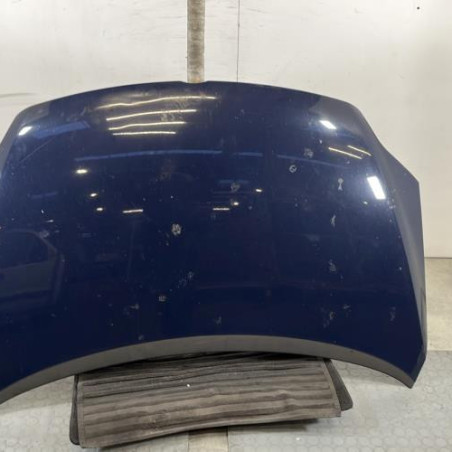 Capot VOLKSWAGEN GOLF PLUS Photo n°1