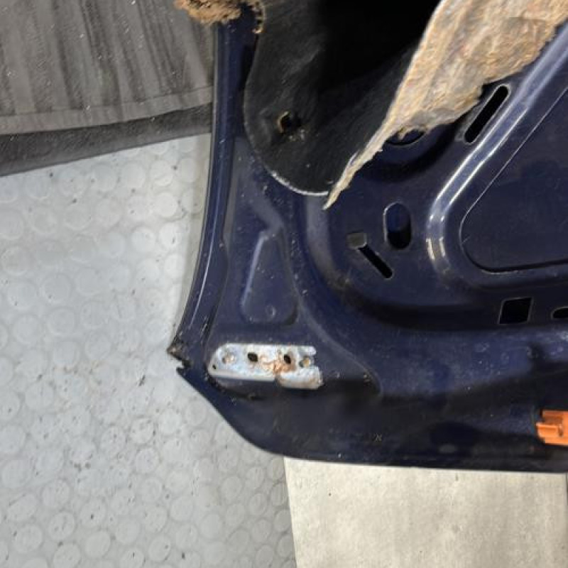 Capot VOLKSWAGEN GOLF PLUS Photo n°10