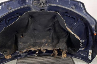 Capot VOLKSWAGEN GOLF PLUS