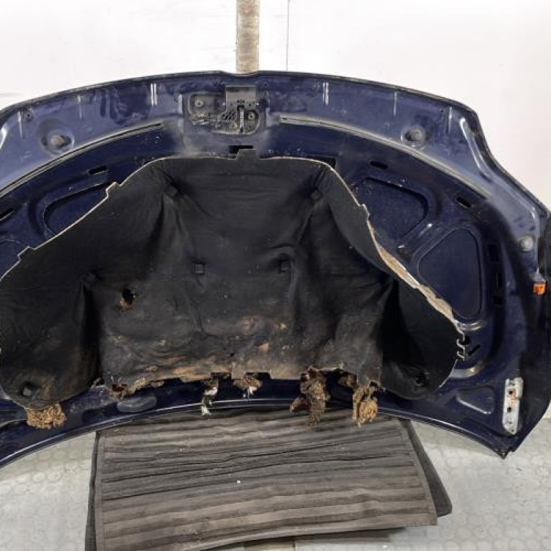 Capot VOLKSWAGEN GOLF PLUS Photo n°11