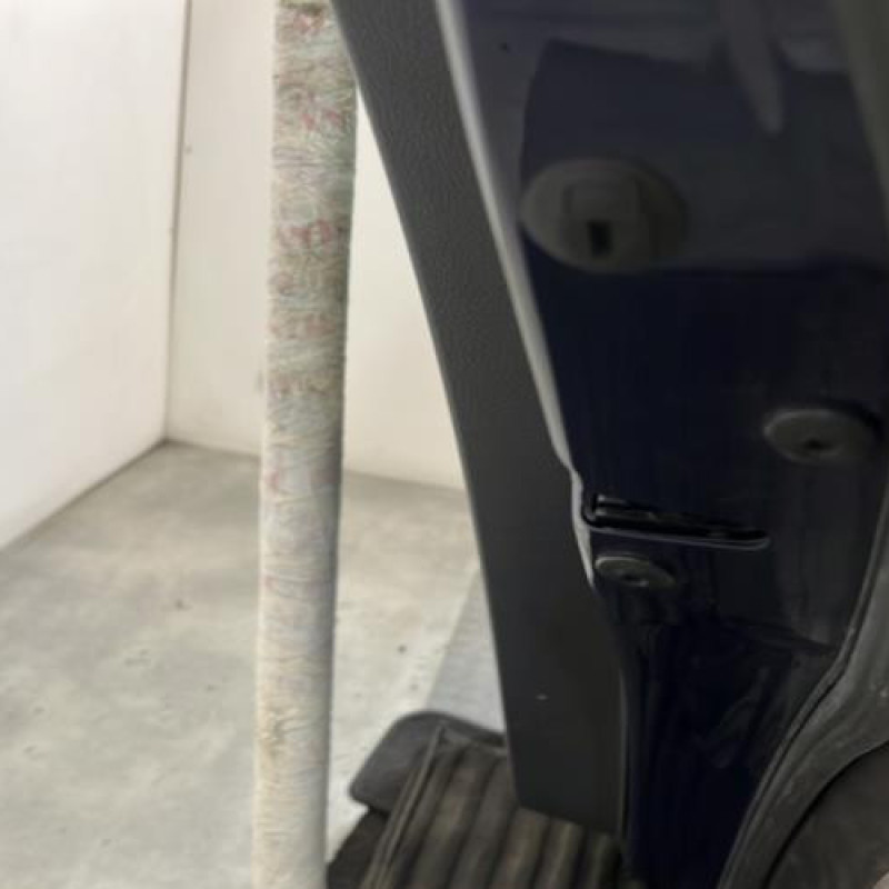 Porte arriere droit VOLKSWAGEN GOLF PLUS Photo n°3