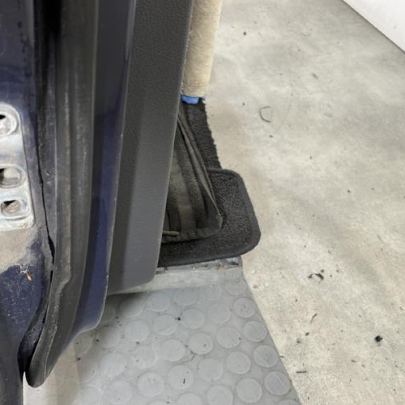 Porte arriere droit VOLKSWAGEN GOLF PLUS Photo n°5