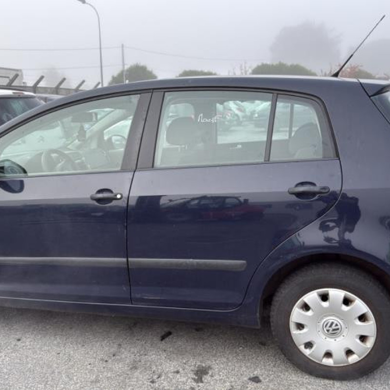 Porte arriere droit VOLKSWAGEN GOLF PLUS Photo n°12