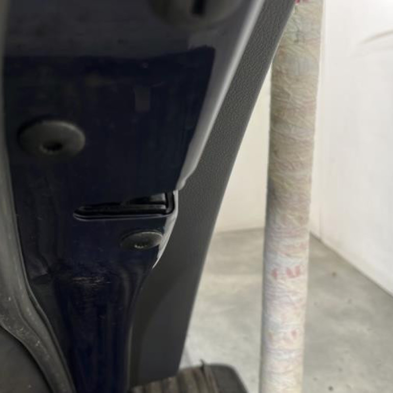 Porte arriere gauche VOLKSWAGEN GOLF PLUS Photo n°3