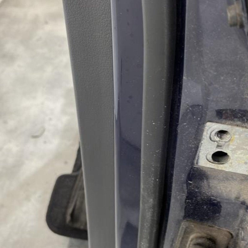 Porte arriere gauche VOLKSWAGEN GOLF PLUS Photo n°4