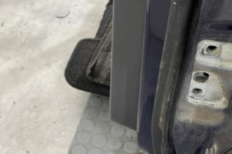 Porte arriere gauche VOLKSWAGEN GOLF PLUS