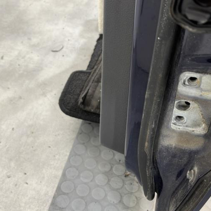 Porte arriere gauche VOLKSWAGEN GOLF PLUS Photo n°5