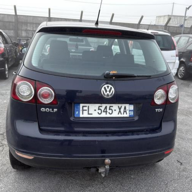 Porte arriere gauche VOLKSWAGEN GOLF PLUS Photo n°11