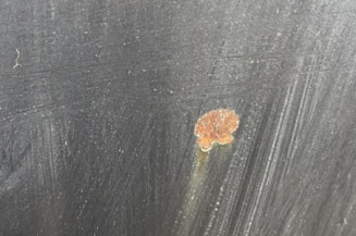 Capot BMW SERIE 5 E39