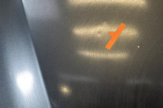 Capot BMW SERIE 5 E39