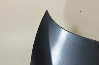 Capot BMW SERIE 5 E39