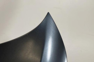 Capot BMW SERIE 5 E39