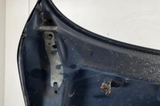 Capot BMW SERIE 5 E39