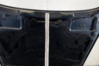 Capot BMW SERIE 5 E39