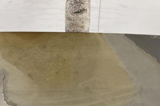 Malle/Hayon arriere NISSAN MICRA 3