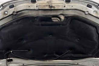 Capot DACIA LOGAN MCV 1