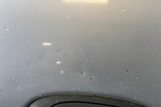 Porte arriere droit DACIA LOGAN MCV 1