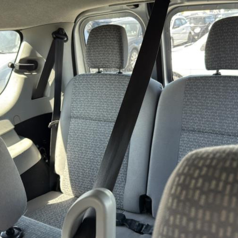 Porte arriere droit DACIA LOGAN MCV 1 Photo n°19