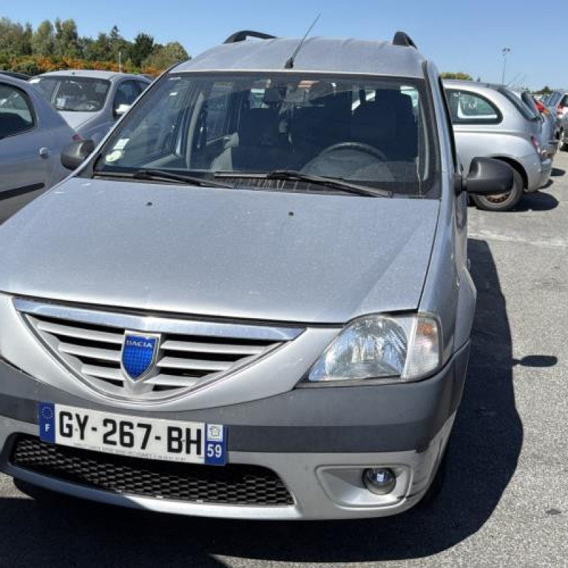 Porte avant droit DACIA LOGAN MCV 1 Photo n°16