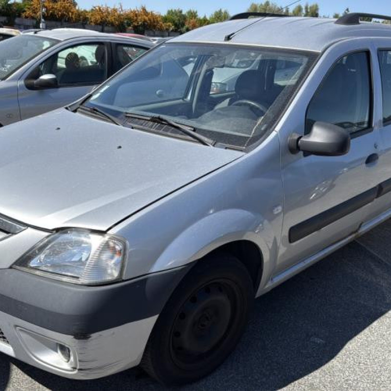 Porte de coffre droit DACIA LOGAN MCV 1 Photo n°10