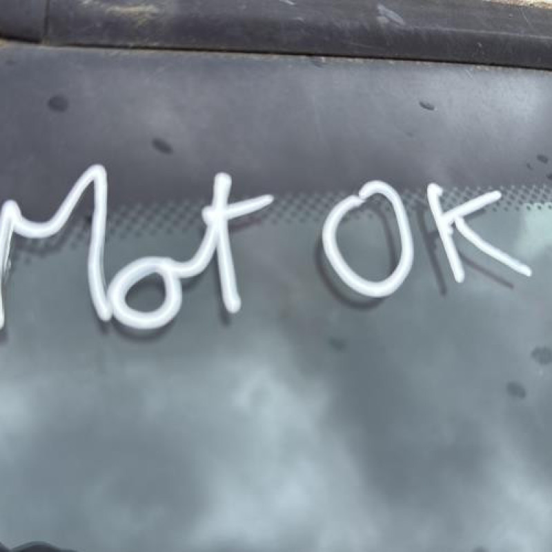 Bouton de warning RENAULT KANGOO 1 Photo n°12