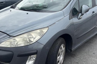 Malle/Hayon arriere PEUGEOT 308 1