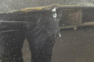 Porte arriere droit OPEL INSIGNIA 1