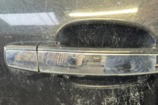 Porte arriere droit OPEL INSIGNIA 1