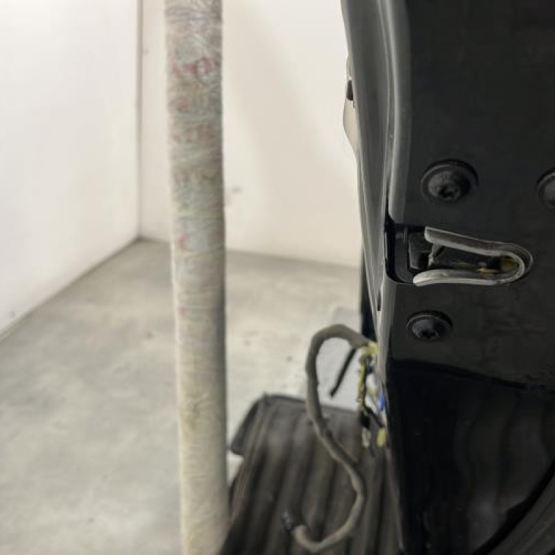 Porte arriere droit OPEL INSIGNIA 1 Photo n°4