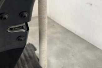 Porte arriere gauche OPEL INSIGNIA 1