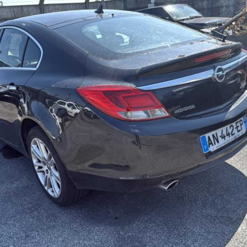 Porte arriere gauche OPEL INSIGNIA 1 Photo n°11