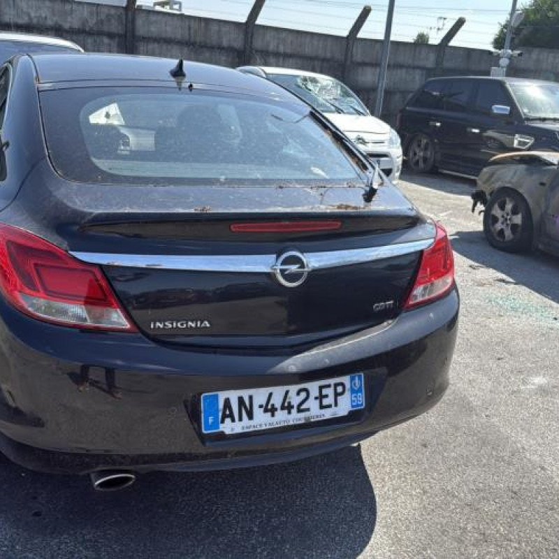 Porte avant droit OPEL INSIGNIA 1 Photo n°13