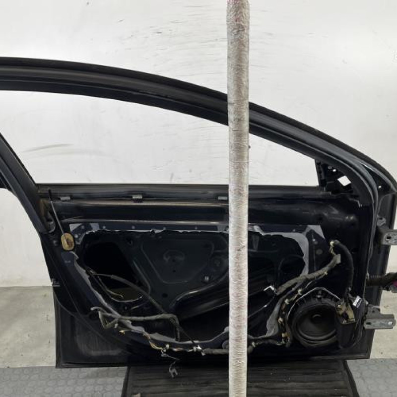 Porte avant gauche OPEL INSIGNIA 1 Photo n°6