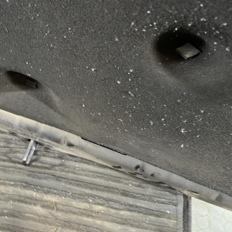 Capot OPEL INSIGNIA 1 Photo n°8